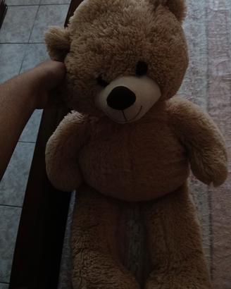 orso gigante