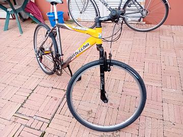 mountain bike bottecchia 26
