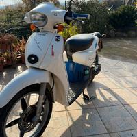 Scarabeo 50
