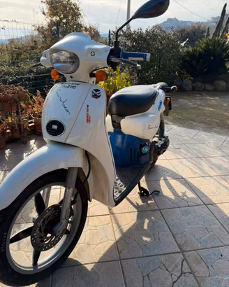 Scarabeo 50
