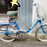 Graziella Carnielli Pieghevole