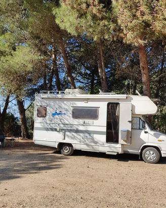 CI Fiat Ducato