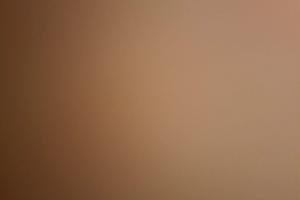 cerdo auto massimo 1500 euro