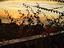 Immagine 19