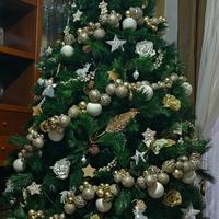 Albero di natale Brighton Spruce 210 cm