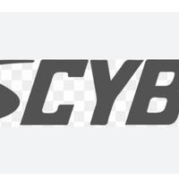 PALESTRA PROFESSIONALE CYBEX