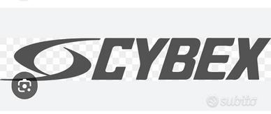 PALESTRA PROFESSIONALE CYBEX