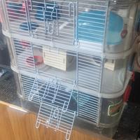 gabbia criceto rody 3