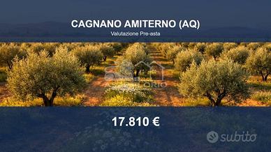 Immobile in asta di 2710 m² a Cagnano Amiterno
