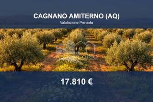 Immobile in asta di 2710 m² a Cagnano Amiterno