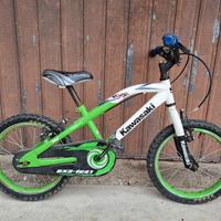 Bici bambino 16 pollici