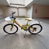 bicicletta bambina 20"