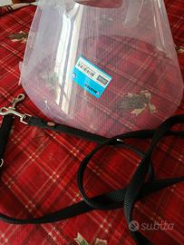 collare Elisabettiano ,e guinzaglio .