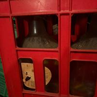 Fiaschi in vetro da 5 litri in cassettine da 3