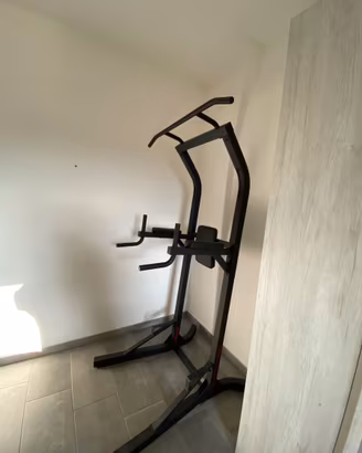 Panca romana calisthenics Training station 900