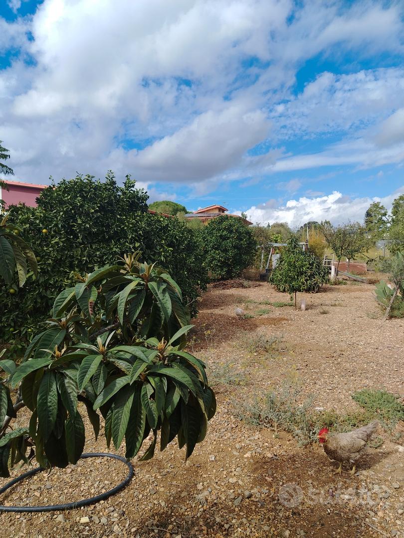 Terreno Is Forreddus - Vista 4