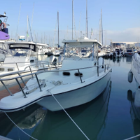 Barca Zaniboni bluetime 27