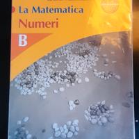 libro scuola media