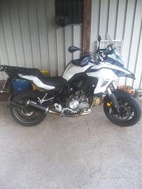benelli 502