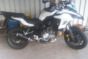 benelli 502