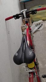 bicicletta da corsa donna