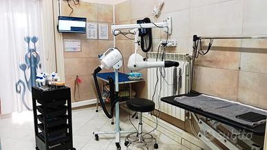 Attività di Toelettatura a Torino