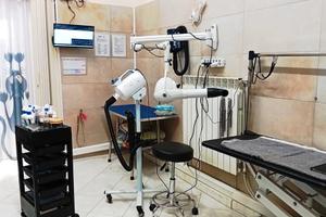 Attività di Toelettatura a Torino