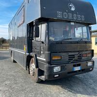 Van trasporto cavalli