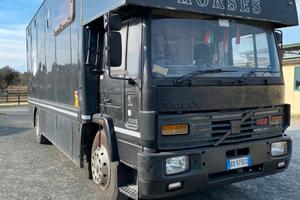 Van trasporto cavalli