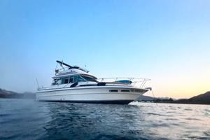 Barca Sea Ray 34 Sedan Bridge con Fly