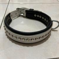 collare guinzaglio per cani XL