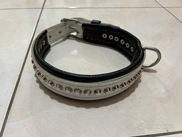 collare guinzaglio per cani XL