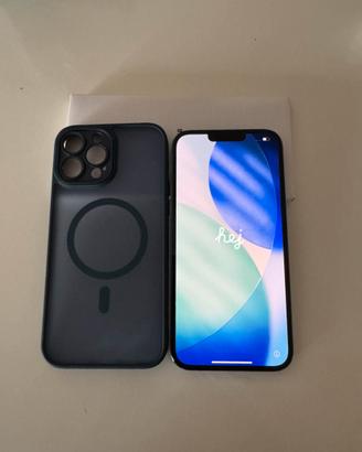 iPhone 13 Pro Max