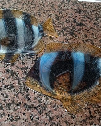piatti a forma di pesce