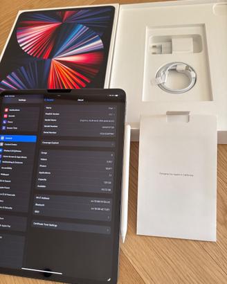 Ipad Pro 5a Gen 128Gb + Apple pencil 2a Gen
