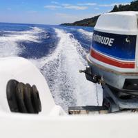 Ricambi motore evinrude 521 25/35
