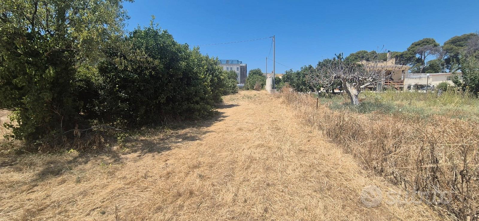 Terreno agricolo + Rudere 70 mq - Vista 5