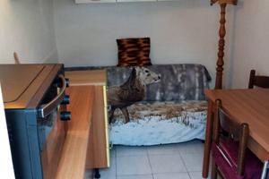 Rimini all inclusive