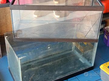 acquario funzionante completo 