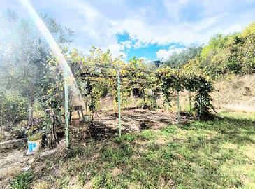 Soluzione indipendente con terreno