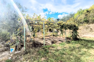 Soluzione indipendente con terreno