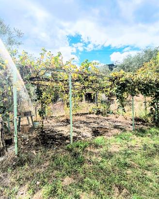 Soluzione indipendente con terreno