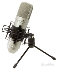 MICROFONO TASCAM TM-80