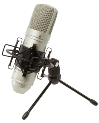 MICROFONO TASCAM TM-80