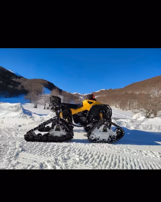 Cingoli Apache 360 LT