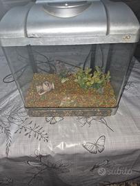 acquario Joy 