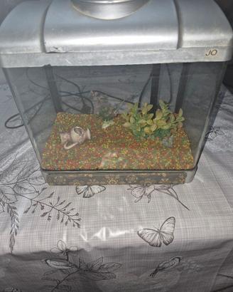 acquario Joy 