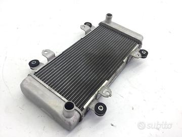 KAWASAKI NINJA ABS 300 RADIATORE CON AMMACCATURA 2