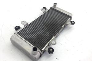 KAWASAKI NINJA ABS 300 RADIATORE CON AMMACCATURA 2