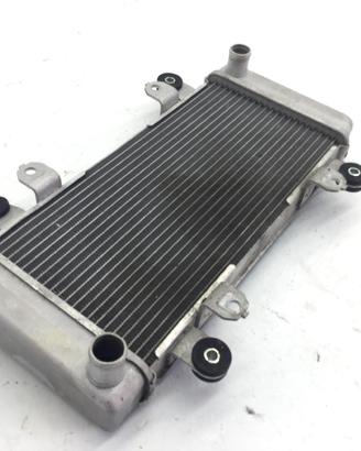 KAWASAKI NINJA ABS 300 RADIATORE CON AMMACCATURA 2